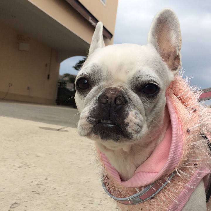 37a39751 2fd8 4743 a084 58be8fc074d0 1518329812943