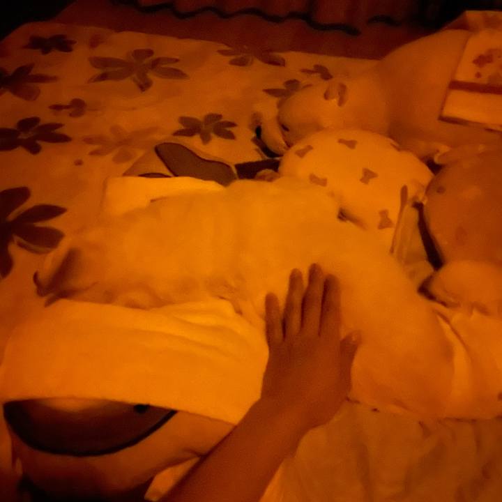 37a3c7b5 4860 4762 84cd d6d6d3040d26 1686239846636