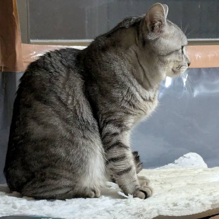 37a3d0e5 2289 429a b2ef 85de4fcdd0ab 1770734803741