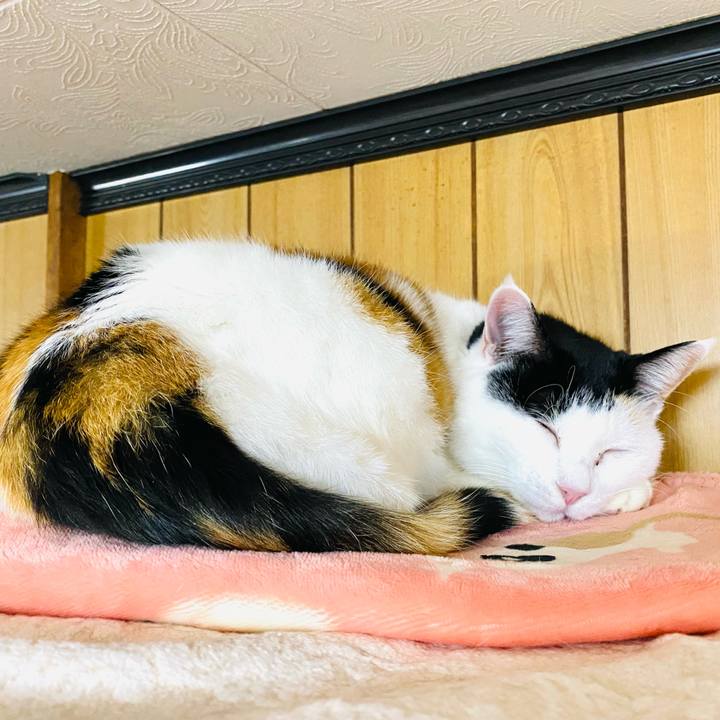 37a3dfd1 42d7 47e7 b9ff 5f4cf2487972 1736858232134