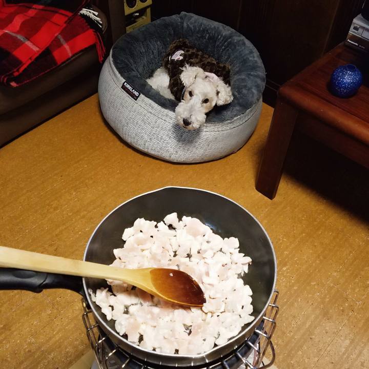 37a3e82e 8e12 48e2 9f6b 563cb10b40e2 1546869498865