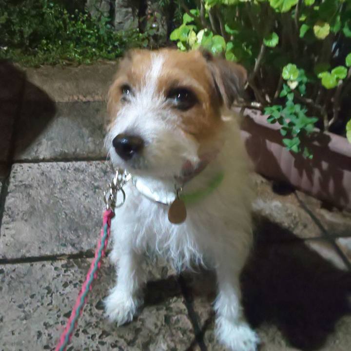 37a44b12 e86d 4436 b41f c94a8b2cbe06 1599745361291