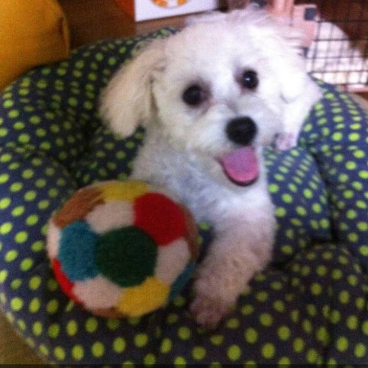 37a45e44 69dd 4bb7 ac3f f76100f3c178 1686195744538