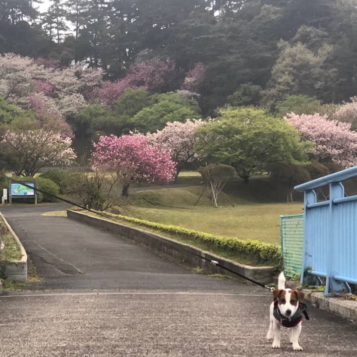 37a46b67 a451 4365 b195 479319e6a01c 1555662657721