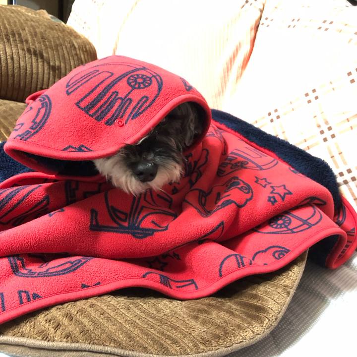 37a46d43 ecc9 452c bae6 880fcbe1c5c5 1700106770648