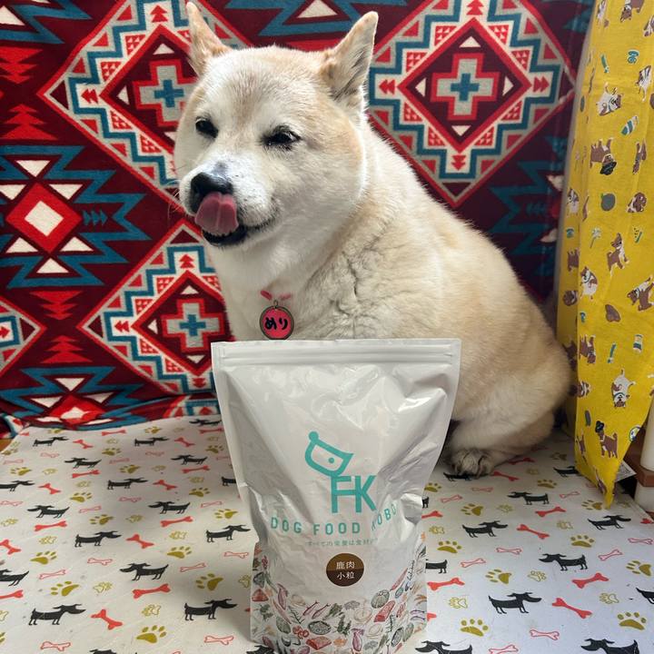 37a47def 4058 40b9 b982 96281f8a0284 1739950024283