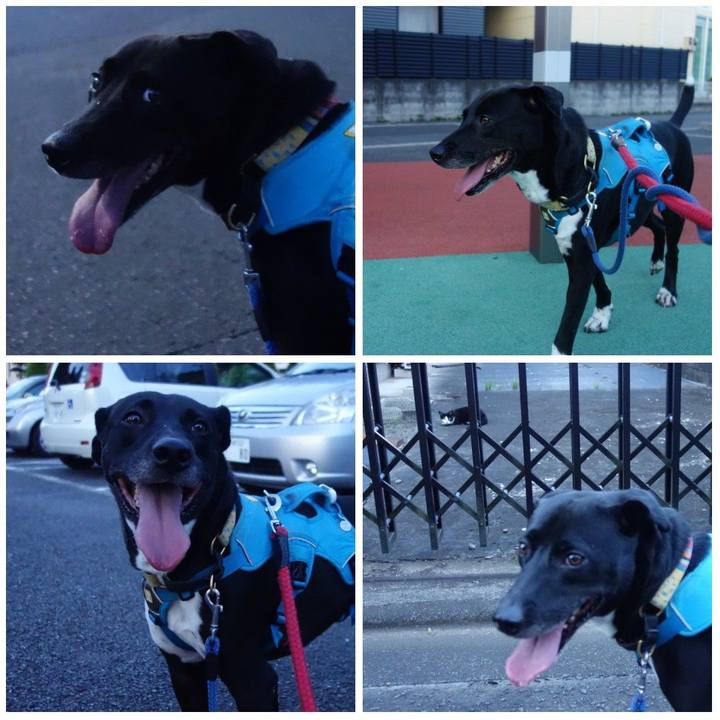 37a4a876 4f3d 49d7 93fe ff0a5354033e 1626605224334