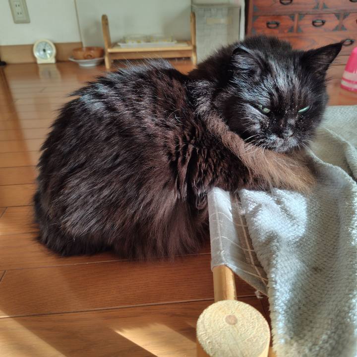 37a4ac9d bd04 4e07 861b 6ad9ef6420a0 1732406533741