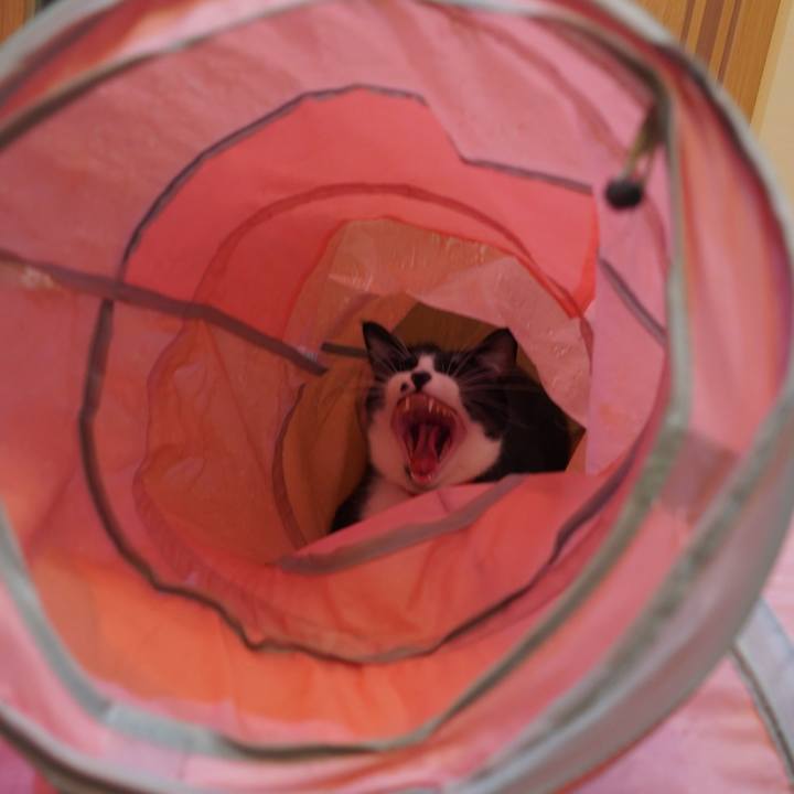 37a4c5d8 0085 47e0 8fdd eca7aa794b7f 1611312567051