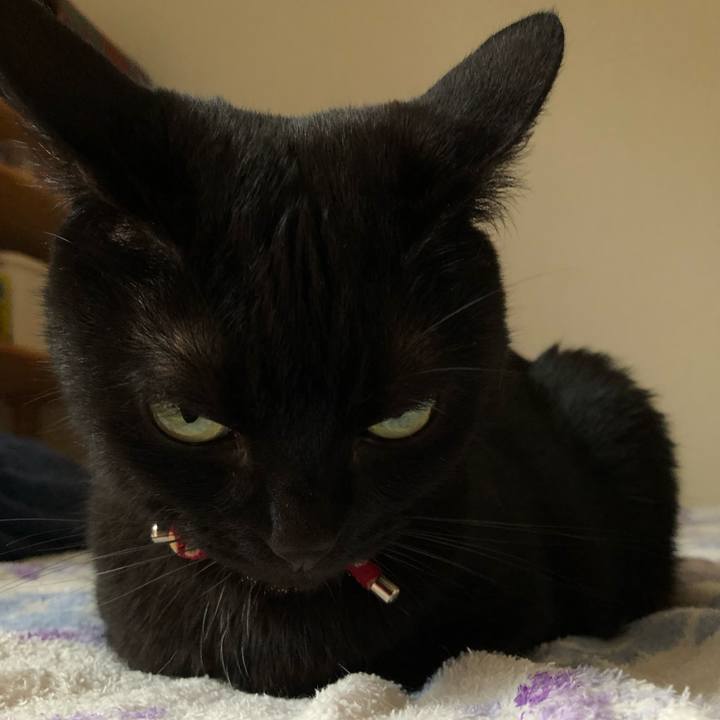 37a4ccc2 cab3 4508 aece e5c5dc69e882 1625905605319