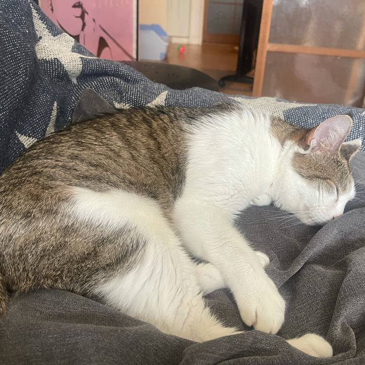 37a50a03 37ad 46d3 92ec 43f23538f2a7 1633412598834