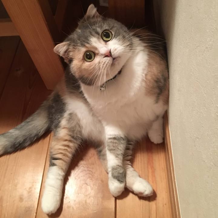 37a51b19 6930 4375 8fd7 93129203cac4 1546254476999