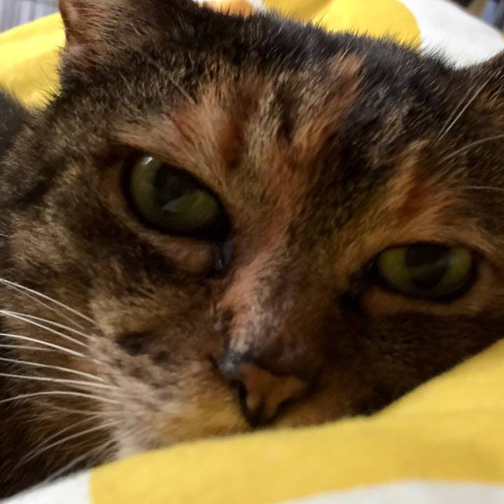 37a52885 f106 408f 842d b46d0b049cf1 1620704920715