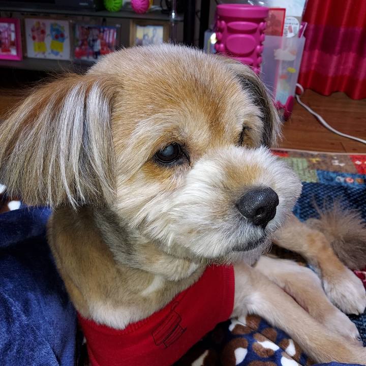 37a5905d 9031 4377 b822 5b1083a74a04 1636633251933