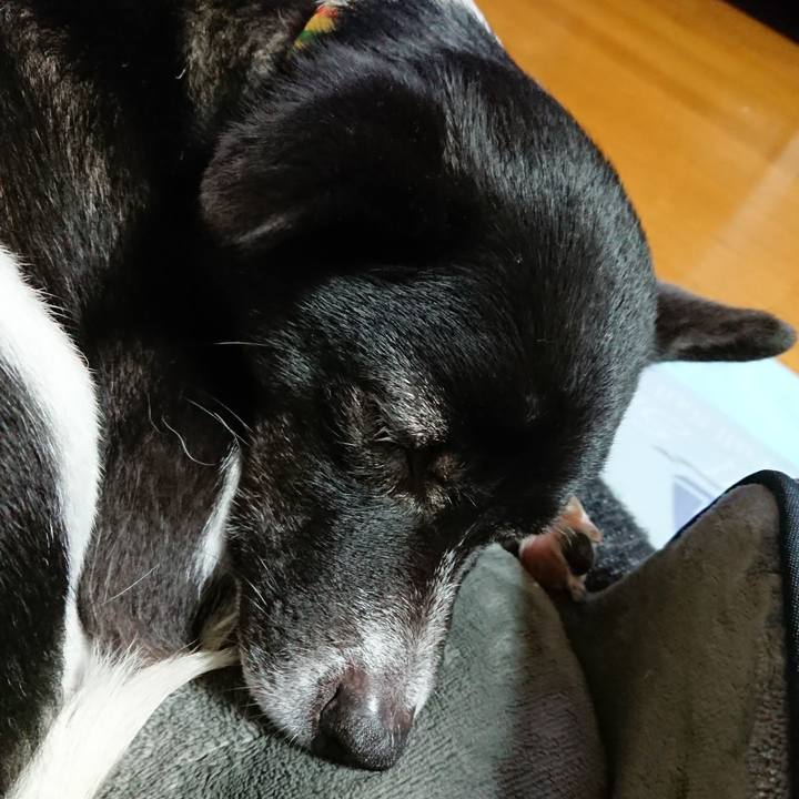 37a5b58f c408 49b6 a107 39ea23062693 1518789105400