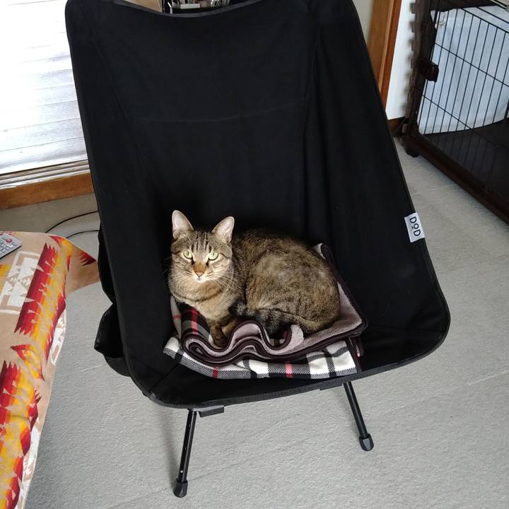 37a5d47a 7135 4be4 afe8 edf43fce23bd 1633228135737