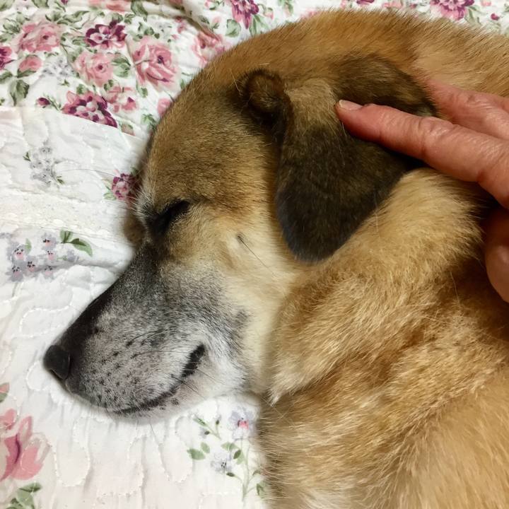 37a5e856 1eaf 458b 9b73 8ac5564e5a4e 1574601397941