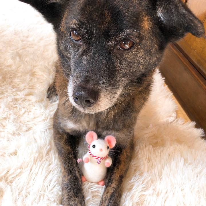 37a5f266 c17e 424b 965a 3ec6ab621f64 1579320472311