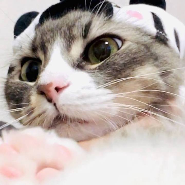 37a60a1a 9410 40b3 8ecf 29409790a564 1752248162355