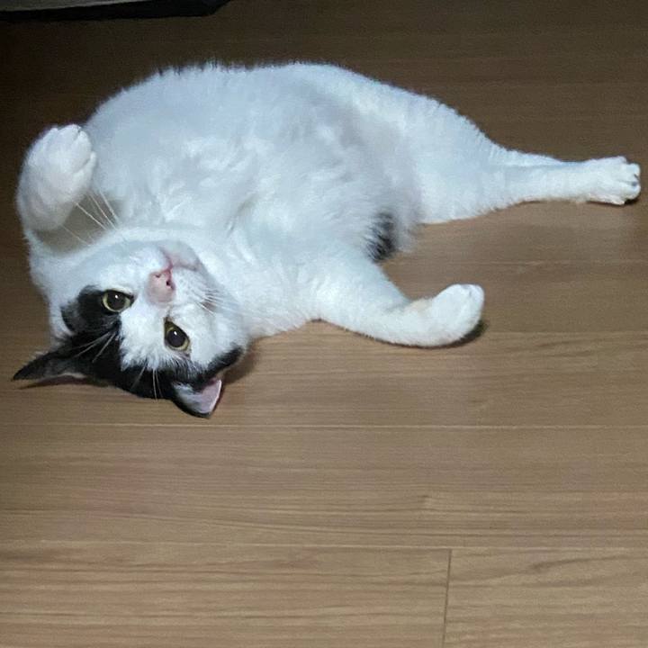 37a61016 a3ec 4ffe b043 957c137278e5 1590417739219