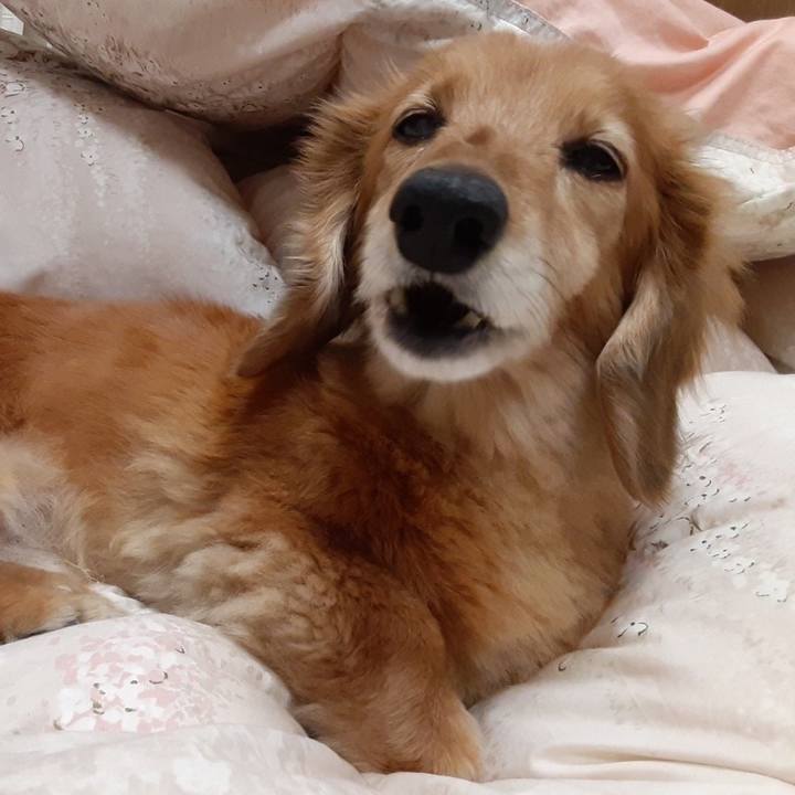 37a6355a a969 469b 9e6b cad93974707a 1647263656303