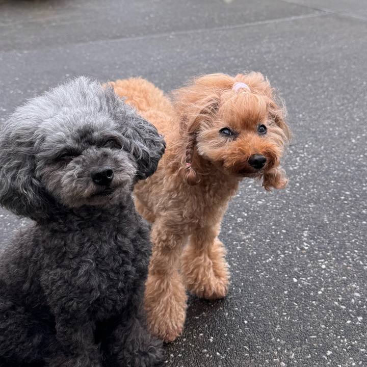 37a6502a 7a0f 4422 bd04 6ffd2fd1e174 1754087083486