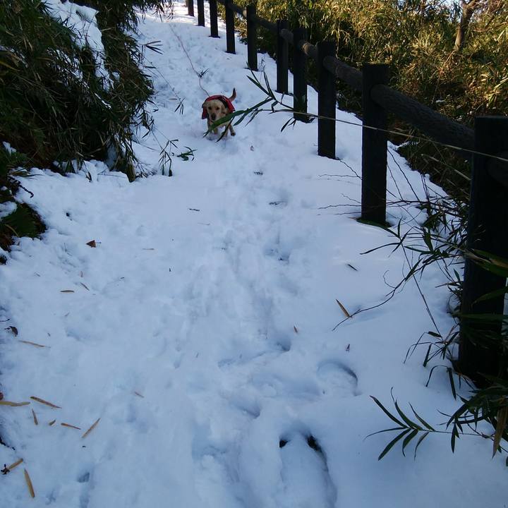 37a661f9 5afa 4fa2 99a9 f3656caf0631 1516768032941