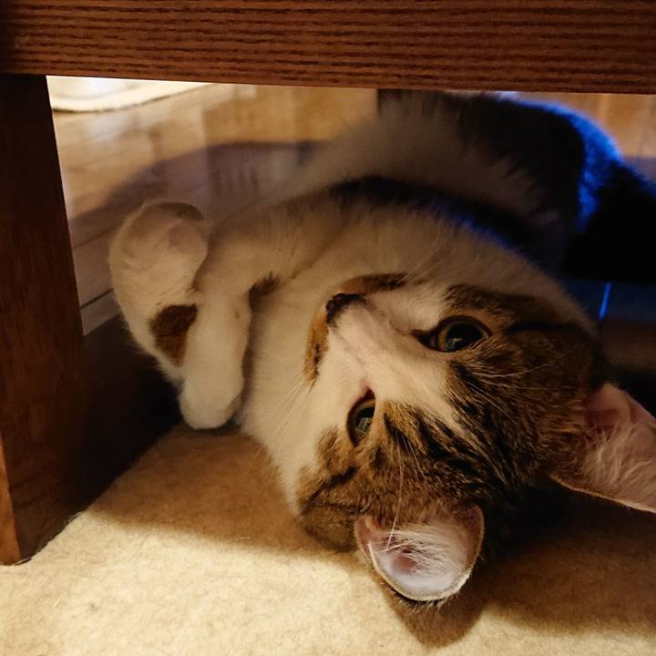 37a6a54e 8521 4b91 9495 1b68552cb831 1566742538077