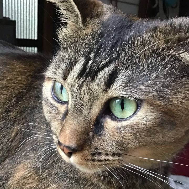 37a6aa35 7c6b 4e81 88df b50effdb9d7a 1664795250817