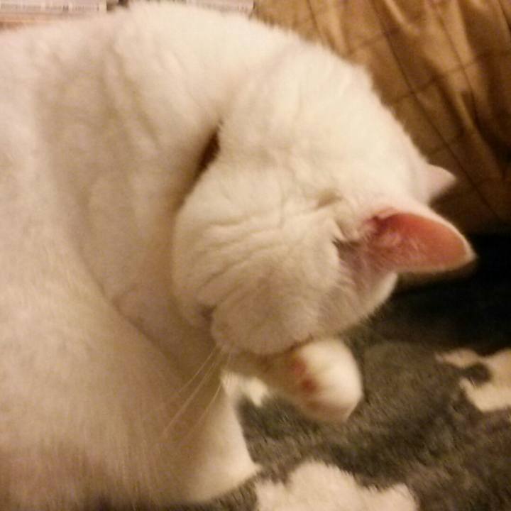 37a6b5d9 dcda 4143 9a2c 33dd56e7b136 1515912351262