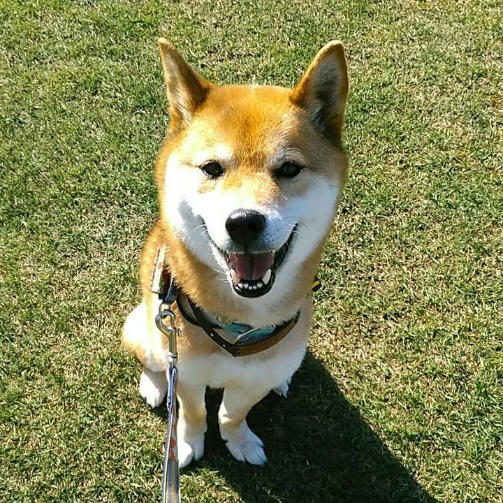 37a6cdc7 9642 4504 b95a 10c45d28655e 1556784472623