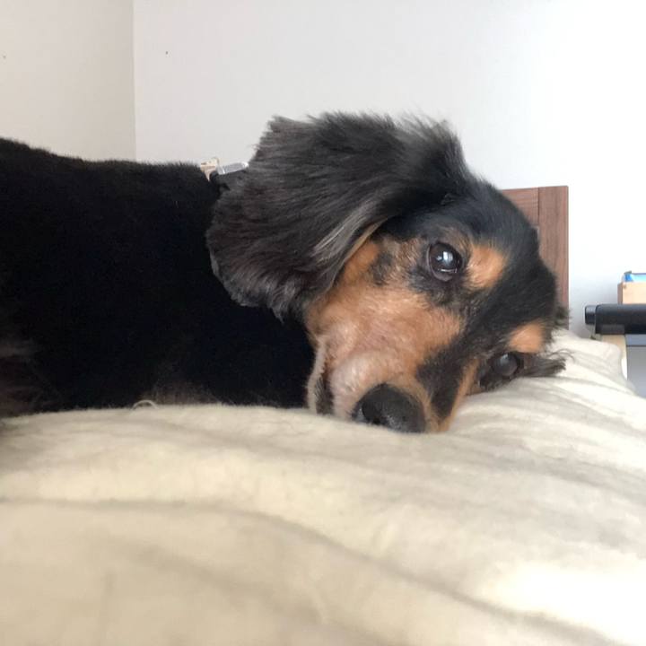 37a6dc91 f8a6 4bcf a7f0 05443ce455cf 1592718381417