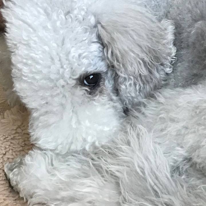 37a71255 d5f0 4654 949c f24a4c679ee8 1646462147533