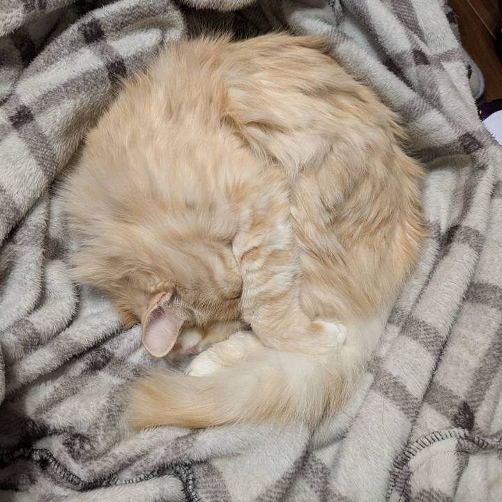 37a71621 54b1 4233 9106 751747caf212 1738935650637