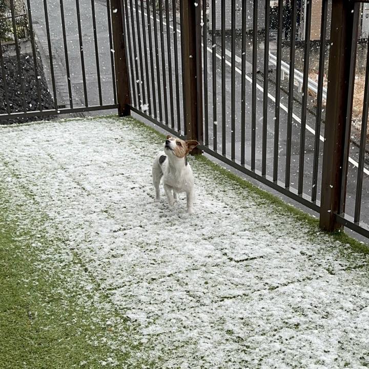 37a72a5f 4b3b 4ef8 b3bf 7968ec6bddf2 1770444278647