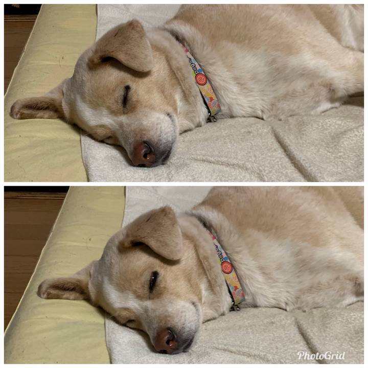 37a77d2b 390e 4ecb 9540 fdb9728a00cb 1550068597867