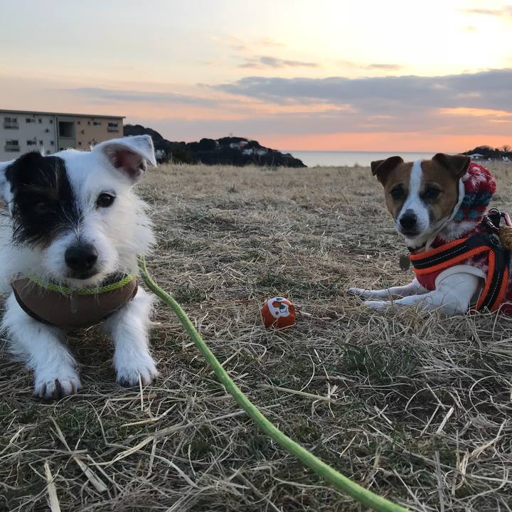 37a7996f c6cd 401f a015 a4def817f376 1517214555118