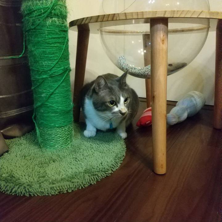 37a79b2d 3509 4b44 a69a d2c7b5fd5e49 1637069285121