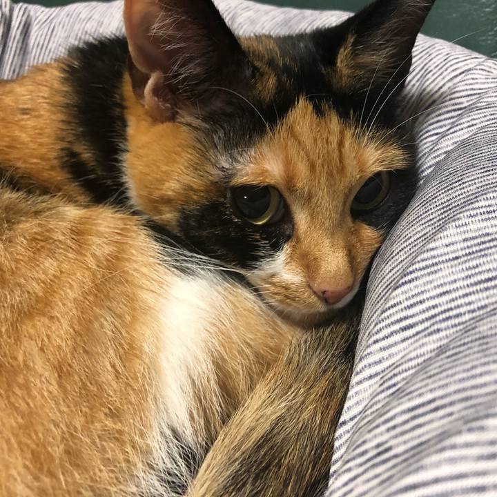 37a79d36 441f 4f86 899b 94bfcecf6735 1565960353470