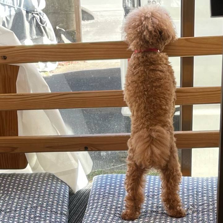 37a7c410 0681 4681 97ab 02f99789094a 1671334638157