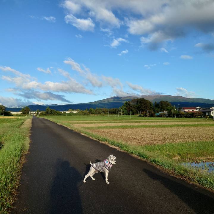 37a84399 96c9 454e 9e5e 98b7aaf9e2e0 1760658546376