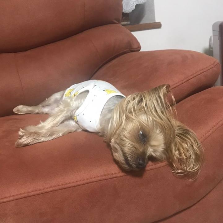 37a863e9 fef1 4139 8f44 d91c0047f7e8 1605434406607