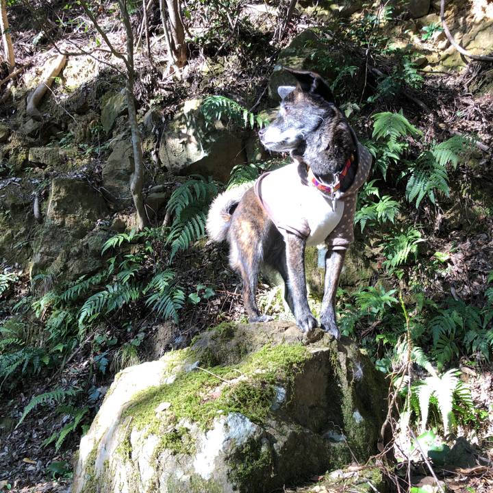 37a86bb2 c5df 4804 b7d6 6f3a0655a9ef 1609807946042