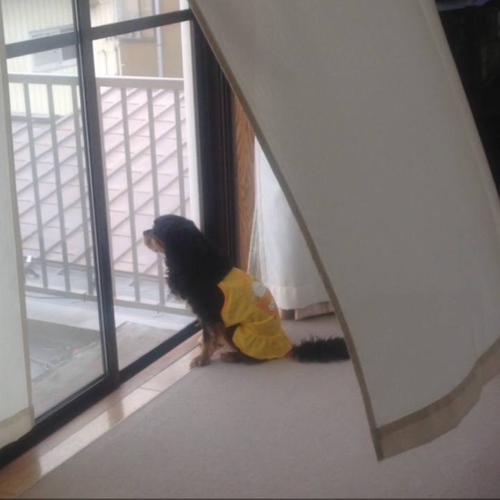 37a88f63 8406 40fa 84b6 d20bfe8ce4f6 1562942687875