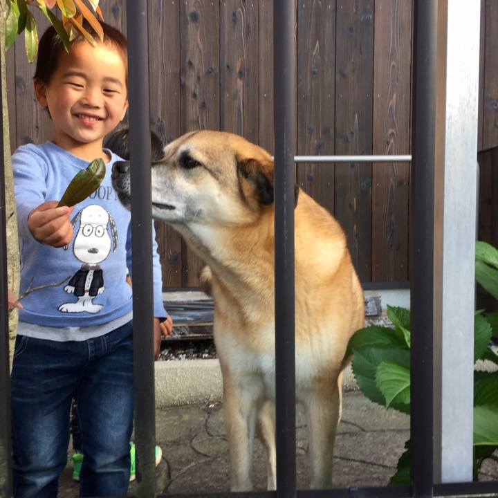 37a8d2c3 aa44 4b64 b118 b5ccacee67cf 1556797780498