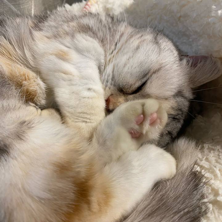 37a8f6d7 2c78 4d83 9313 0068eb78d684 1775482345326