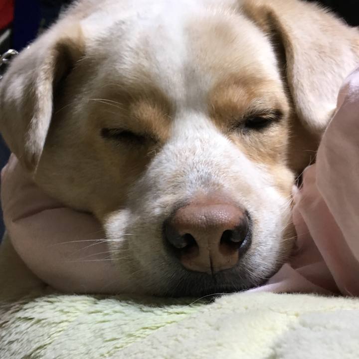 37a92e3e 1e0a 4420 a092 f45dd3e57067 1517044333016