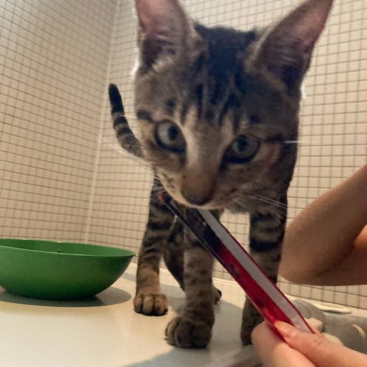 37a98ba5 3d78 44bc 9044 79d7dc9a292c 1662991534560