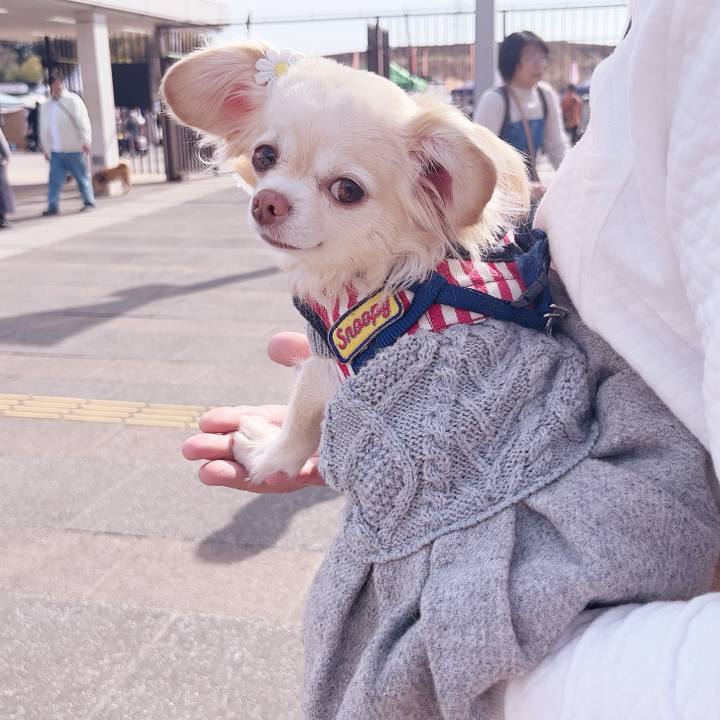 37a99d3b f9f3 4af6 b8e1 2d7110cdb7d8 1739690521909