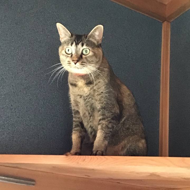 37a9c134 118a 4260 b39f 5a7881a80064 1630372315760